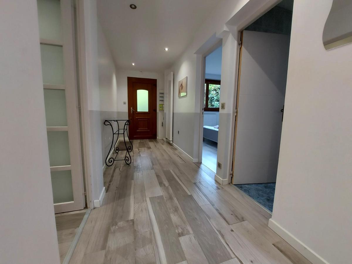 A 200 Metres Du Lac D'Annecy, Spacieux Appartement 3 Chambres Avec Terrasse Et Jardin Sevrier Exterior photo